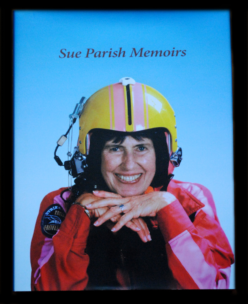 SueParishCover